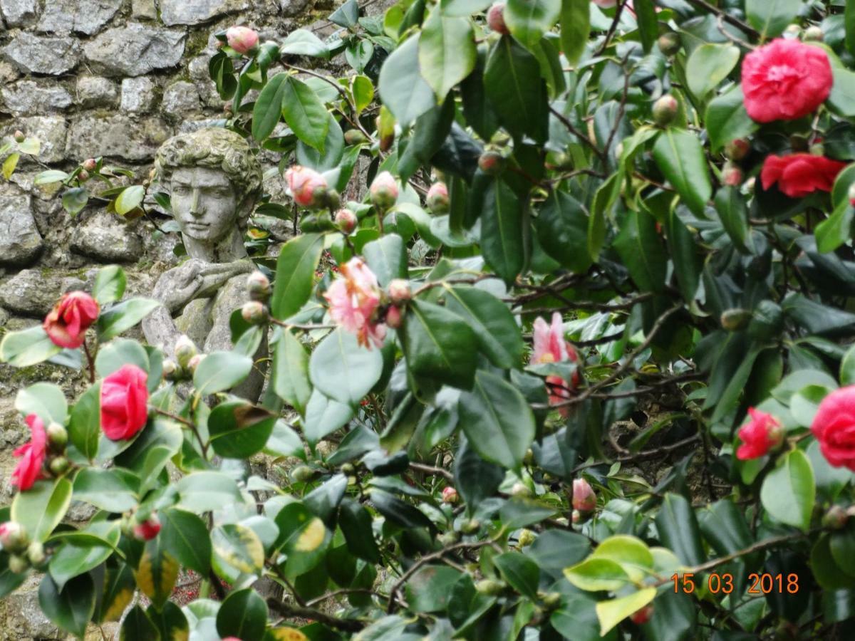 Hôtel particulier le clos de la croix Bayeux Exterior foto